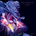 Various : Pop Ambient 2020 (2xLP, Comp, Art)