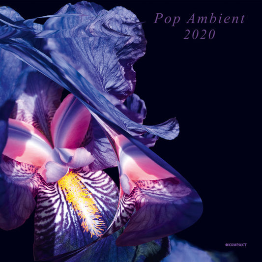 Various : Pop Ambient 2020 (2xLP, Comp, Art)