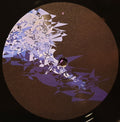 Various : Pop Ambient 2020 (2xLP, Comp, Art)