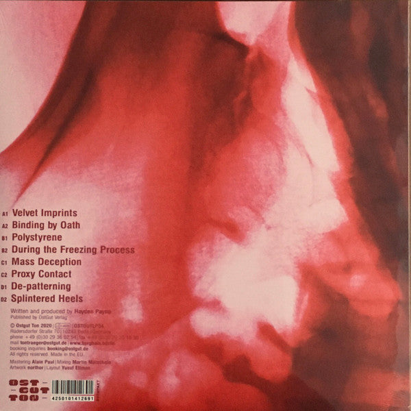 Phase Fatale - Scanning Backwards — back sleeve