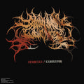 Ayarcana : Laminator (12", EP)