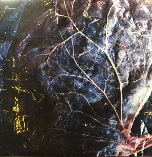 CA2+ : Overtone Widow (LP, Album)