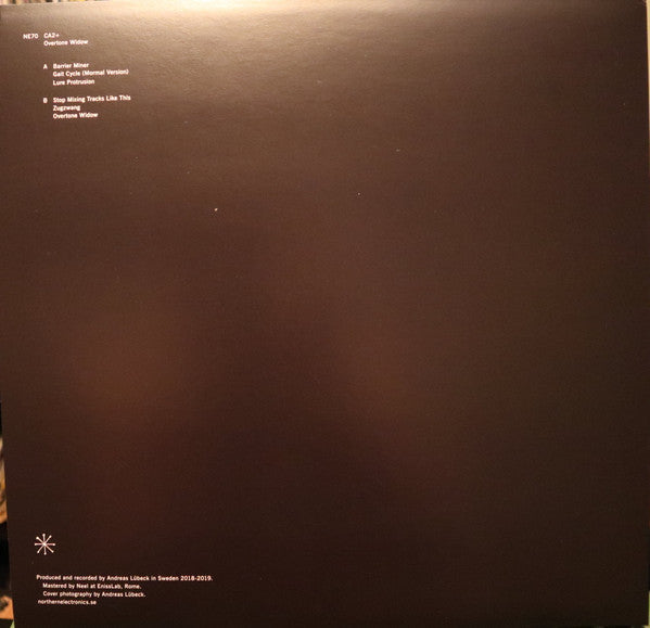 CA2+ - Overtone Widow — back sleeve