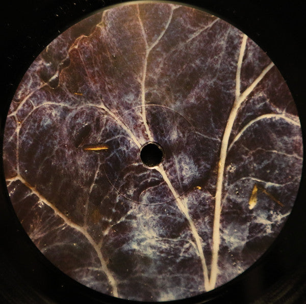 CA2+ : Overtone Widow (LP, Album)