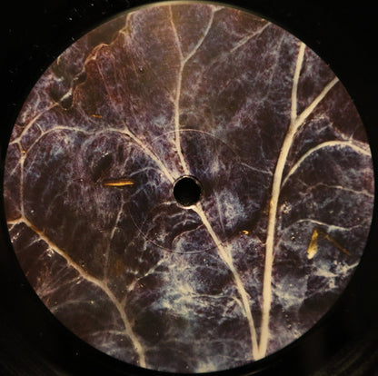 CA2+ : Overtone Widow (LP, Album)