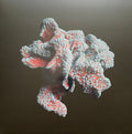 Aera : Prana EP (2x12", EP)