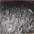 Cucina Povera & Els (7) : The Oystercatcher (12", Album)