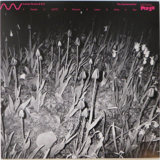 Cucina Povera & Els (7) : The Oystercatcher (12", Album)