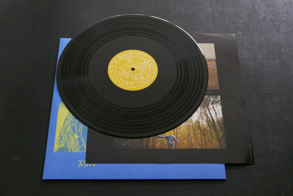 Erik Skodvin : Anbessa (LP, Album, Ltd)