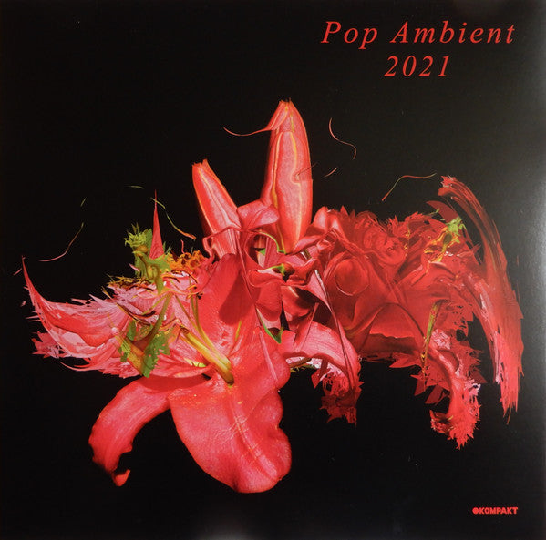 Various - Pop Ambient 2021 — front sleeve