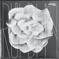 Sandro Mussida : Rueben (LP, Album)