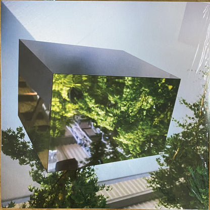 VTSS : Borderline Tenderness (12", EP)