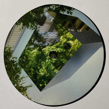 VTSS : Borderline Tenderness (12", EP)