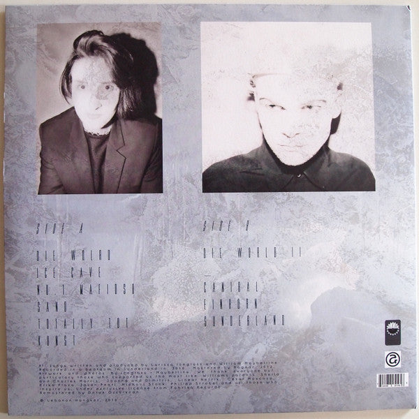 Lebanon Hanover : The World Is Getting Colder (LP, Album, RE)