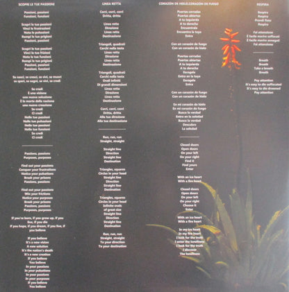 Dame Area : Ondas Tribales (LP, Ltd, Red)