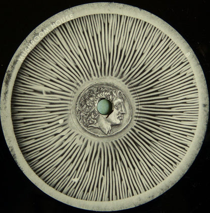 Kapote : Mushroom House Vol 2 (2x12", Comp)