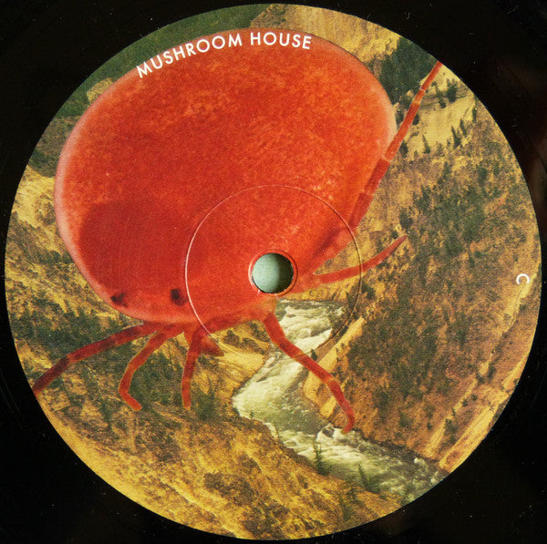 Kapote : Mushroom House Vol 2 (2x12", Comp)