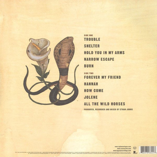 Ray Lamontagne - Trouble — back sleeve