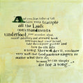 Ray Lamontagne : Trouble (LP, Album, RE, 180)