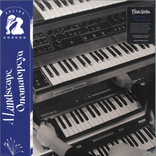 Felipe Gordon : A Landscape Onomatopeya (2x12", Album, Ltd, RP)