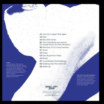 Felipe Gordon : A Landscape Onomatopeya (2x12", Album, Ltd, RP)