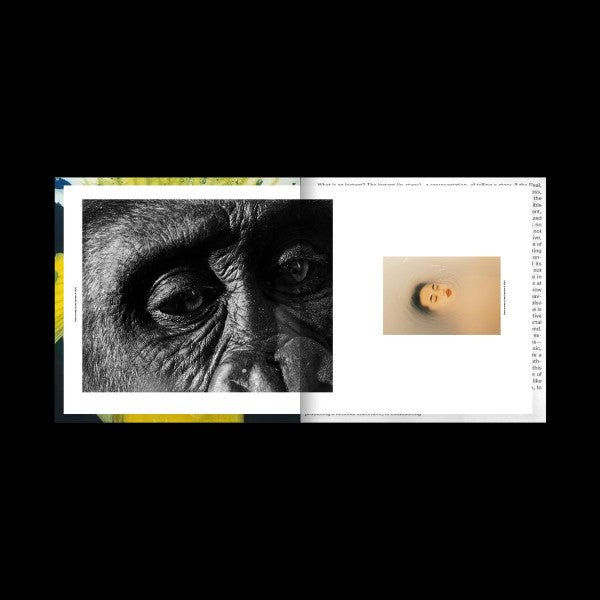 Various : PRSNT (12", Comp, Ltd, Whi)