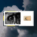 Various : PRSNT (12", Comp, Ltd, Bla)
