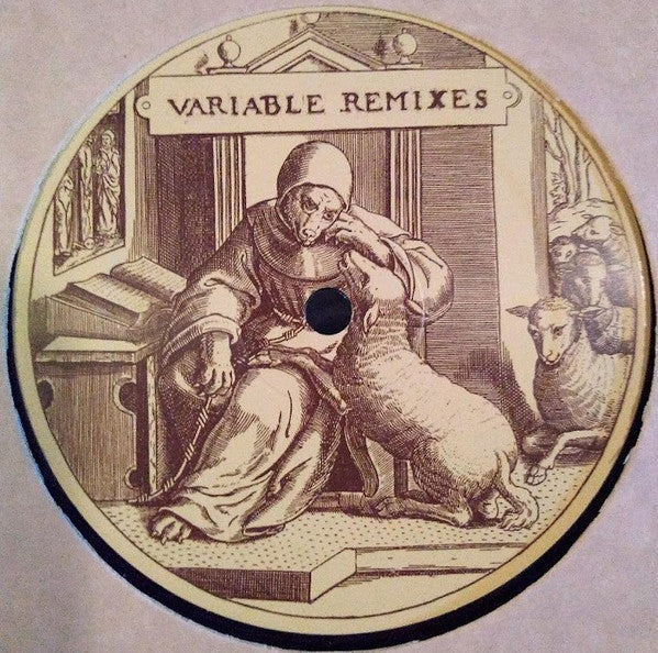Various - Variable Remixes — front sleeve