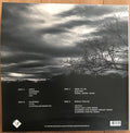 Wires & Lights : A Chasm Here And Now (2xLP, Album, Ltd)