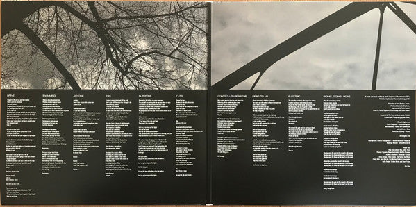 Wires & Lights : A Chasm Here And Now (2xLP, Album, Ltd)