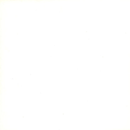 Âme : The Witness EP (12", EP, Whi)