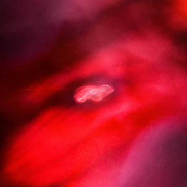 Siavash Amini + Saffronkeira - The Faded Orbit — front sleeve