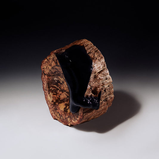 Maenad Veyl And The Sarcasm Ensemble : Comfort In Misery (LP)