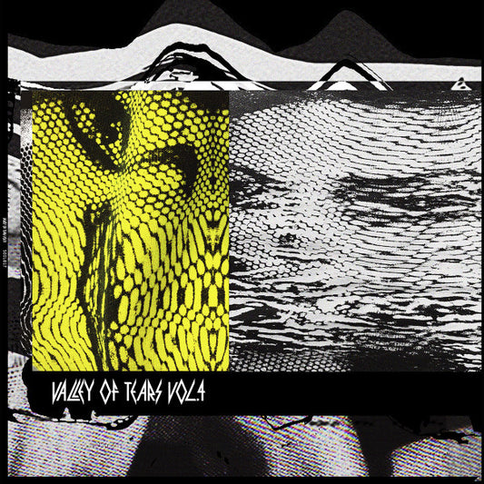 Various : Valley Of Tears 4 (2xLP, Comp, Ltd)