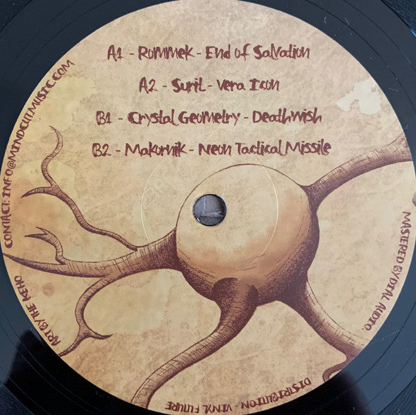 Various - Behaviour Of Matter — back sleeve