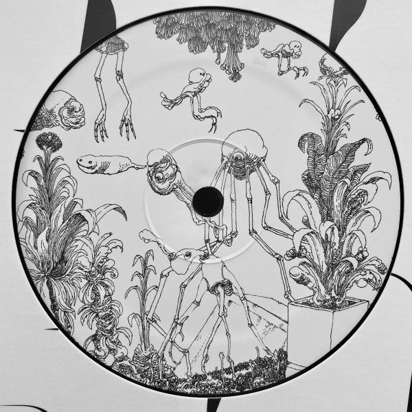 Poly Chain - “Dogtooth” EP — back sleeve