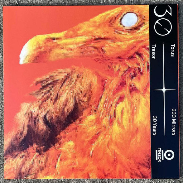 Torus  - 333 Mirrors — front sleeve