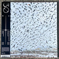Torus (4) : 333 Mirrors (12", EP, 180)