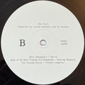 Various : Sky Girl (2xLP, Comp, RE, RP, Unofficial)