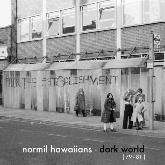 Normil Hawaiians : Dark World (79-81) (LP, Comp)