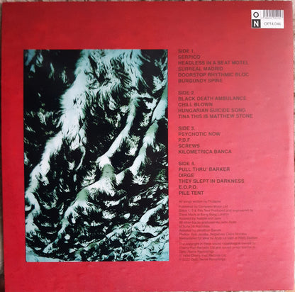 Prolapse : Pointless Walks To Dismal Places (2xLP, Album, RE, RM, Bur)