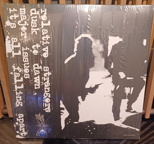 Downwell - Relative Strangers — back sleeve