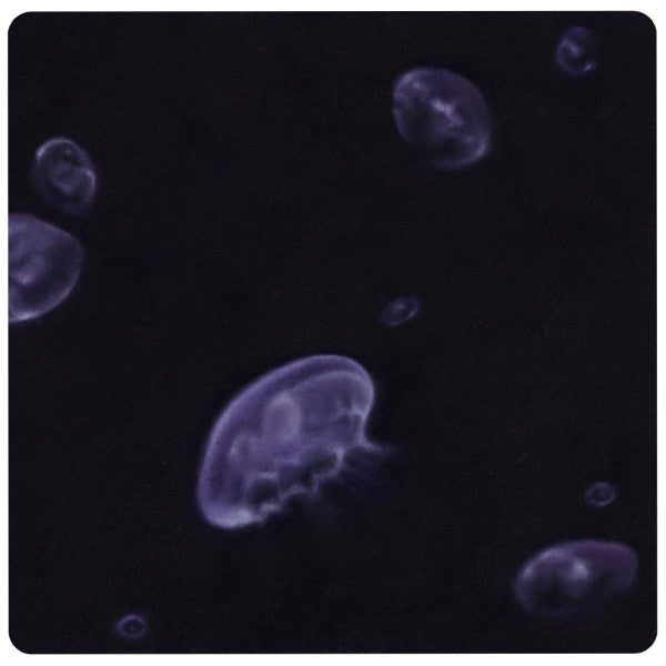 Feral (11) : Crossroads (12", EP, 180)