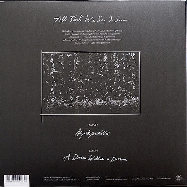 All That We See Or Seem - All That We See Or Seem — back sleeve