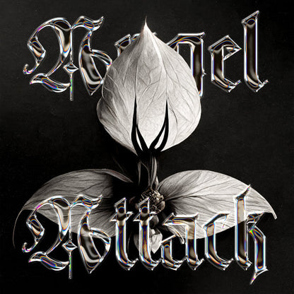 Angel Attack : Divine Practicalities (12", Album)