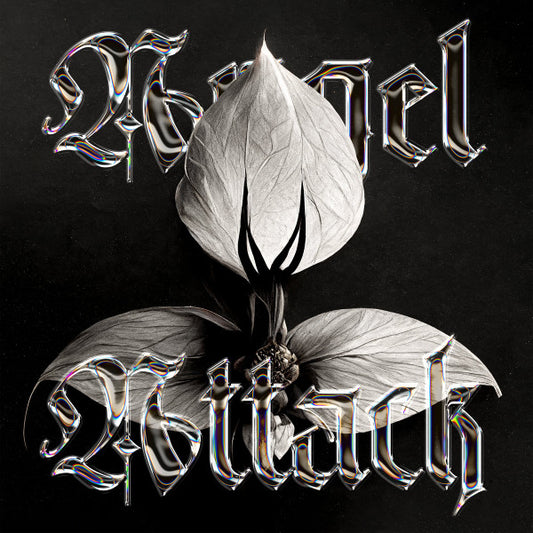 Angel Attack : Divine Practicalities (12", Album)