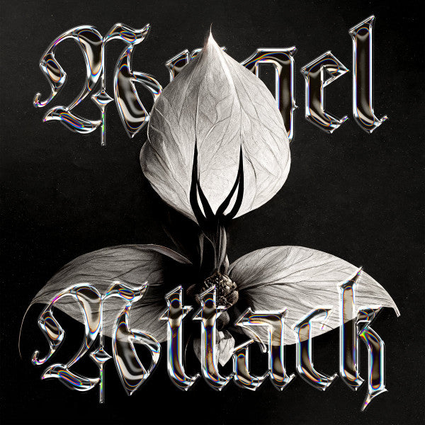 Angel Attack - Divine Practicalities — front sleeve