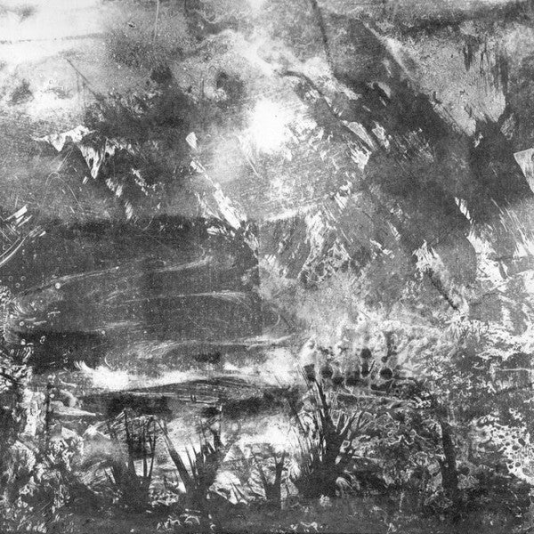 Timo van Luijk & Kris Vanderstraeten : Autour Du Lac D'Asselt (LP, Album)