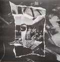 Forever Grey : Sympathy Garden (LP, Album, Ltd, Pin)