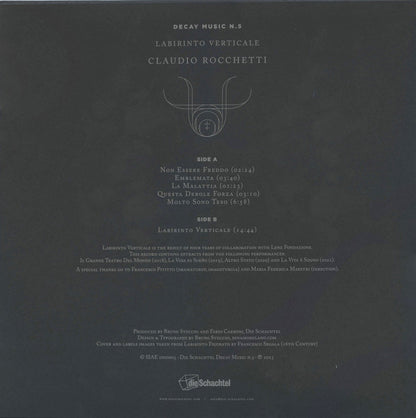 Claudio Rocchetti : Labirinto Verticale (LP, Album, Ltd)